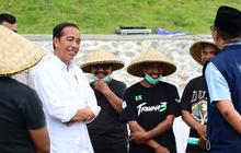 Cerita Jokowi Pelihara Kambing di Istana Bogor, Awal 5 Kini jadi 43 Ekor Jelang Pensiun