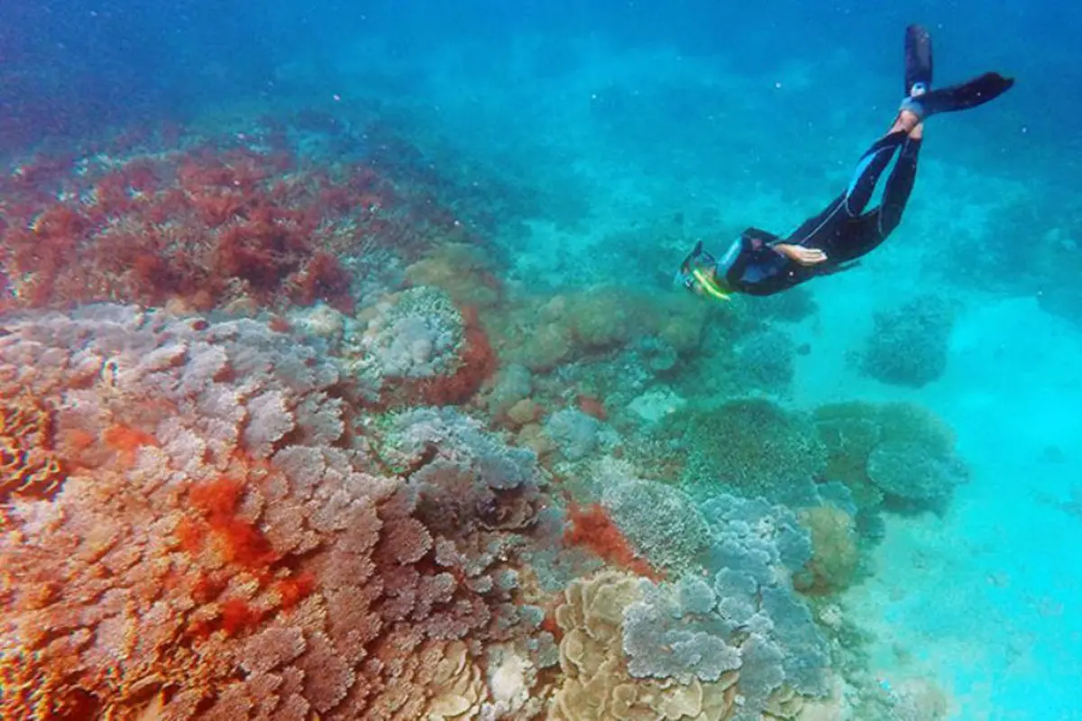 7 Pesona Minahasa, Dari Kuliner Hingga Keindahan Bawah Laut