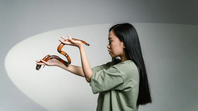 Arti Mimpi tentang Hewan