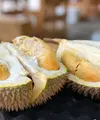 Ilustrasi Durian/https://unsplash.com/Jim&nbsp;Teo