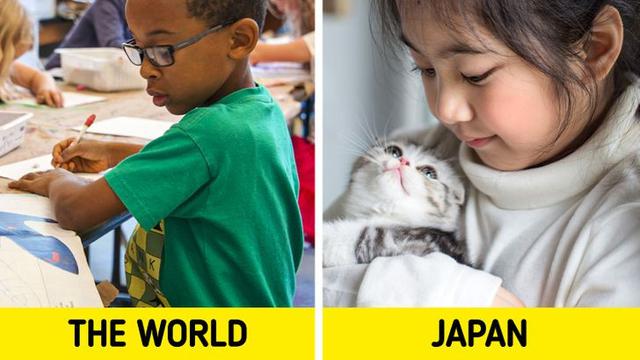 6 Fakta Unik Sistem Pendidikan di Jepang, Siswa Diajarkan Mandiri Sejak Dini