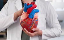 Berapa Kali Jantung Berdetak Setiap Hari dan Sepanjang Hidup Manusia? Begini Penjelasan Ilmuwan