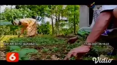 Sudirno (79) warga Dusun Ketro, Desa Petungsinarang, Kecamatan Bandar, Pacitan, Jawa Timur, merupakan salah satu tokoh perancang gambar uang kertas rupiah. Sudirno membuat desain uang kertas Rp 1000 di tahun 1980, dan uang kertas Rp 10000 di tahun 19...