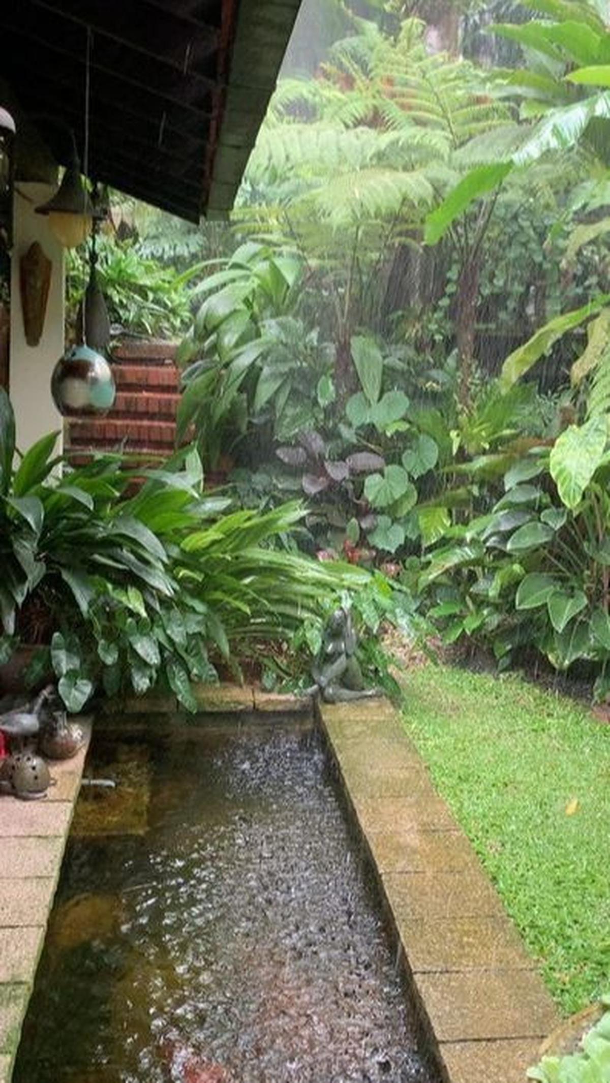 Taman Rindang dengan Kolam Ikan