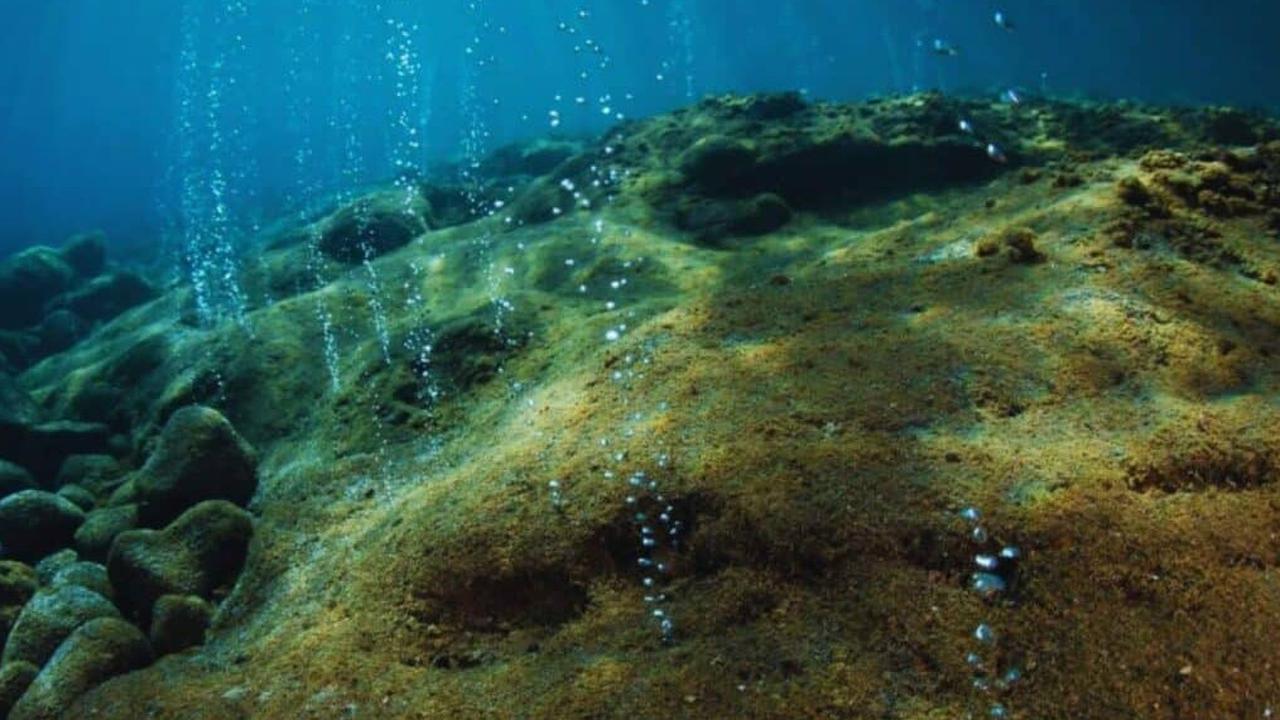 Peneliti Penasaran, Satu Juta Telur Hidup Berukuran Raksasa Ditemukan di Gunung Api Purba Bawah Laut