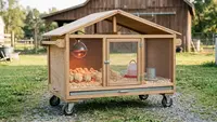9 Ide Kandang Anak Ayam yang Hangat dan Mudah Dibersihkan, Praktis Lindungi Peliharaan