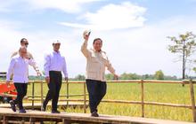 Target Indonesia Swasembada Makin Dekat, Ini Buktinya
