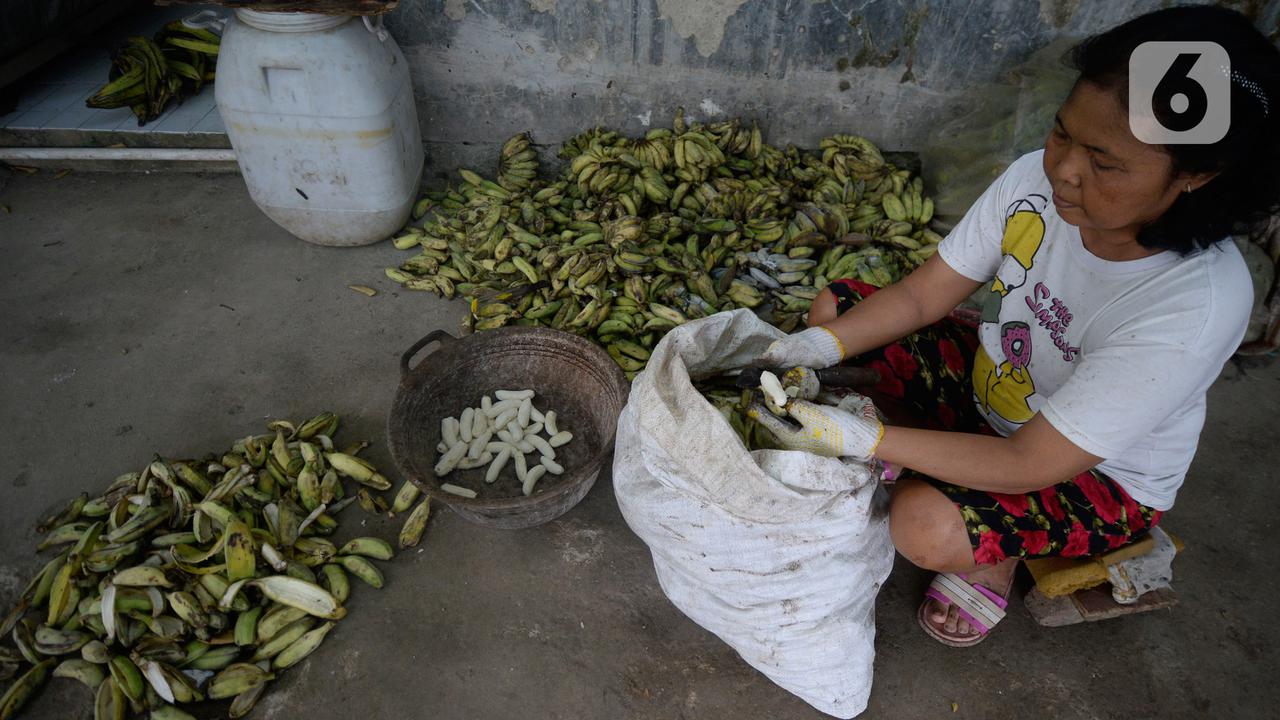Home Industri Keripik Pisang