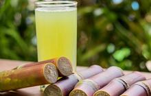 Sembelit Tak Kunjung Sembuh? Coba Minum Ramuan Air Tebu yang Ternyata Baik untuk Pencernaan