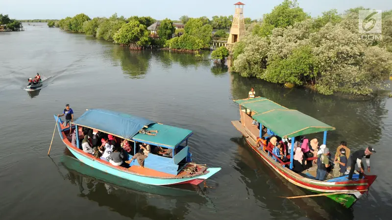 Menikmati Indahnya Wisata Mangrove di Bekasi