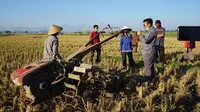 Menteri Pertanian Syahrul Yasin Limpo (Mentan SYL) melakukan panen padi di Kabupaten Bandung. (Foto:Dok.Kementerian Pertanian RI)