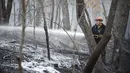 Seorang petugas pemadam kebakaran dari North Carolina Forest Service menyemprotkan sisa titik api dari kebakaran hutan di Pilot Mountain State Park yang menyebabkan kerusakan lebih dari 1.000 hektar di Pinnacle, North Carolina, AS (30/11/2021). (Allison Lee Isley/The Winston-Salem Journal via AP)