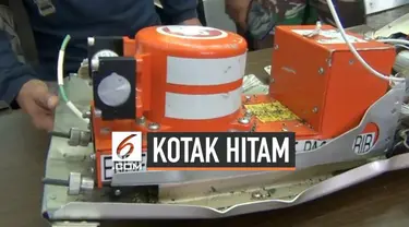 Kotak hitam (Black Box ) peswat Twin Otter PK CDC ditemukan tim Vertical Rescue Indonesia di pegunungan Mamontoga Kabupaten Mimika. Kotak hitam selanjutnya dibawa ke Jakarta untuk dibuka guna mengetahui penyebab jaruhnya pesawat tersebut.