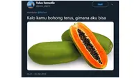 Plesetan Nama-nama Buah Ini Bikin Tepuk Jidat (sumber:Twitter/@kram_otak13)