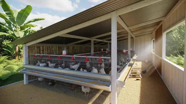 6 Model Atap Kandang Ayam Petelur Terbaik untuk Produktivitas Optimal