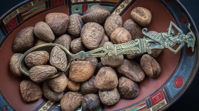 5 Bahan Makanan Beracun yang Tetap Disuka Karena Kelezatannya