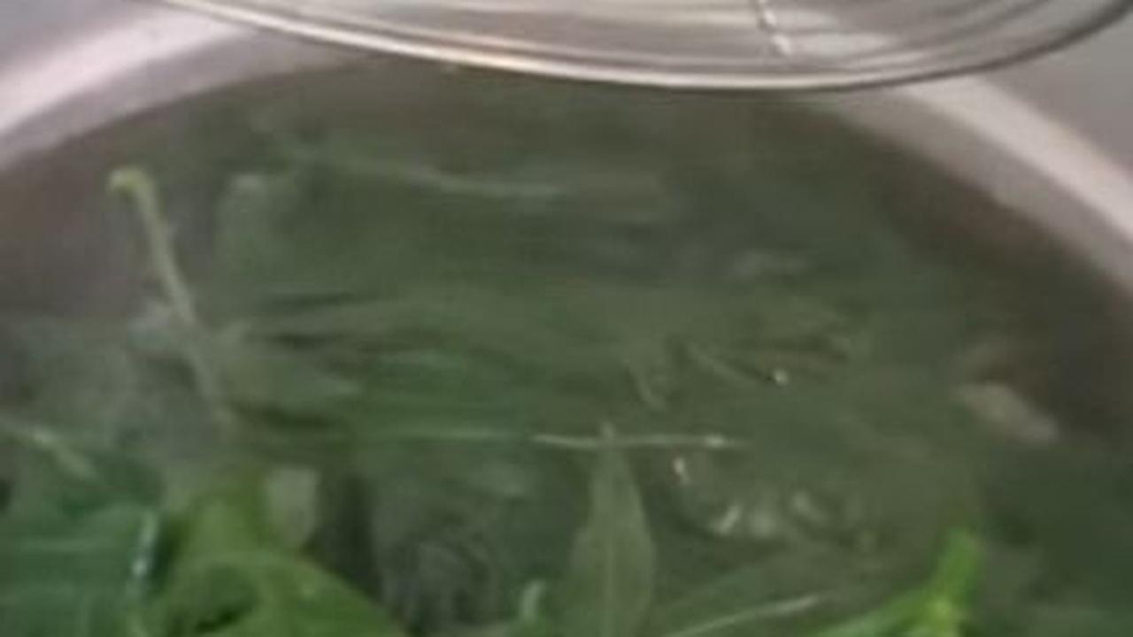 Rebus Daun Singkong