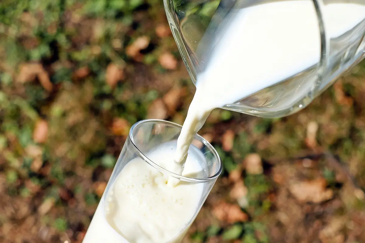 susu
