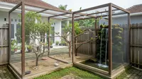 9 Ide Kandang Burung Sederhana di Halaman Rumah, Inspirasi Aviary Mini Modern