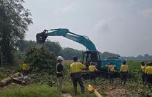 PLN Gencarkan Kolaborasi Penanganan Eceng Gondok Waduk Saguling Demi Energi Terbarukan