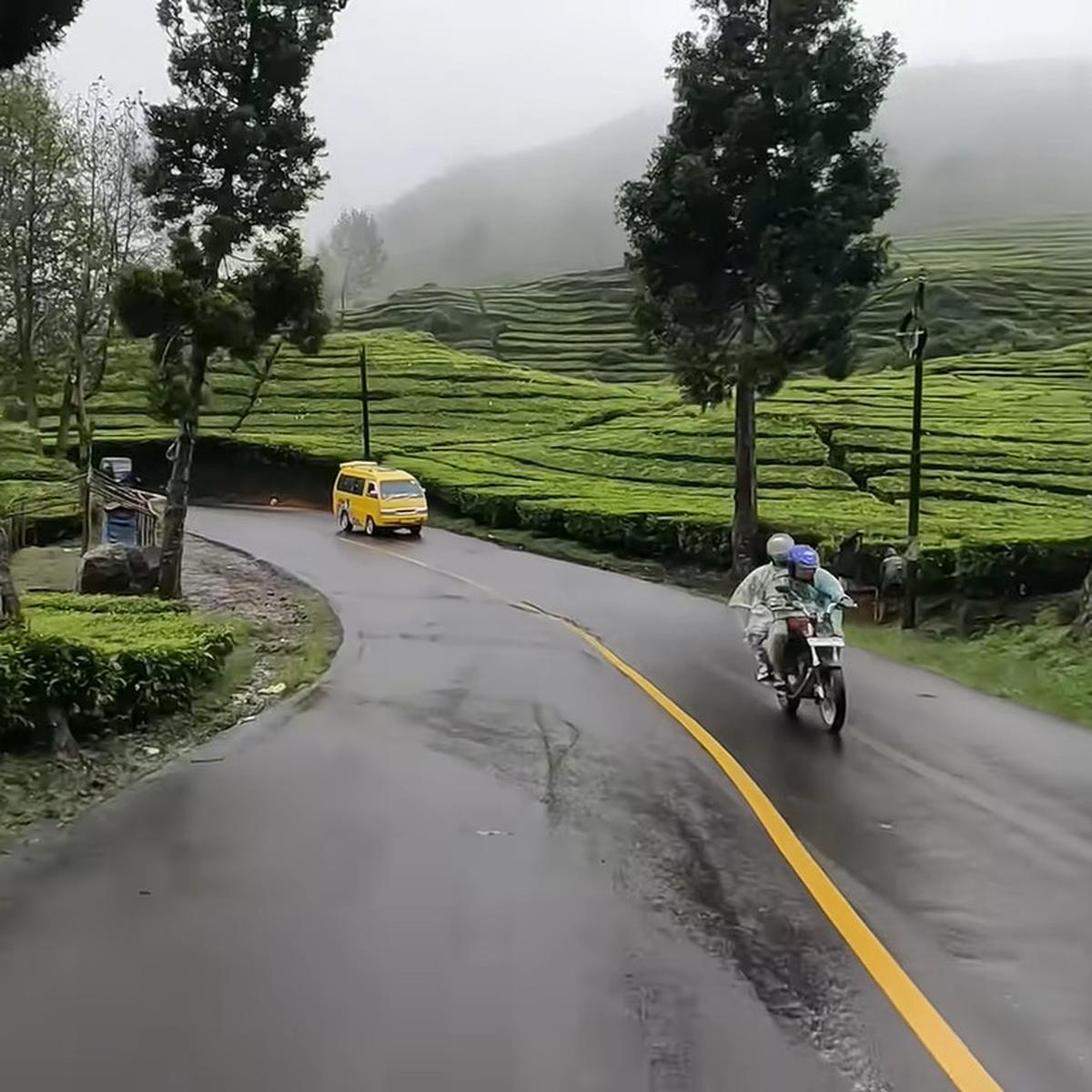 Kelok seribu Ciwidey