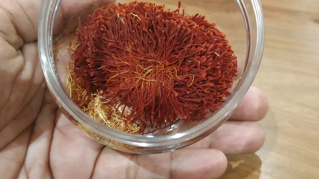 Rempah atau bumbu termahal di dunia, Safron. Nurmayanti/Liputan6.com