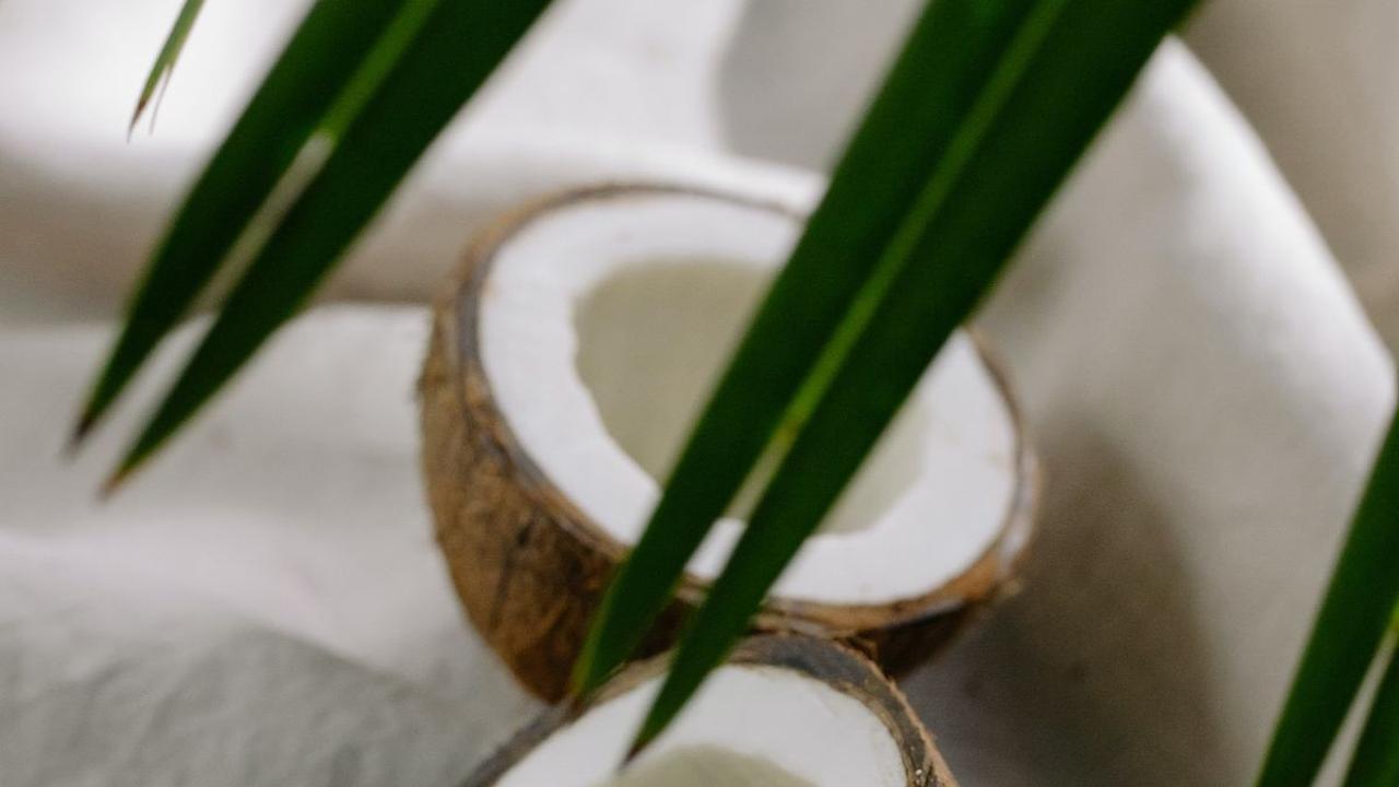 <b>6. Minyak Kelapa</b>