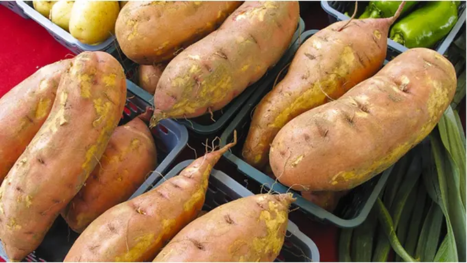 Courtesy ShutterStock.com