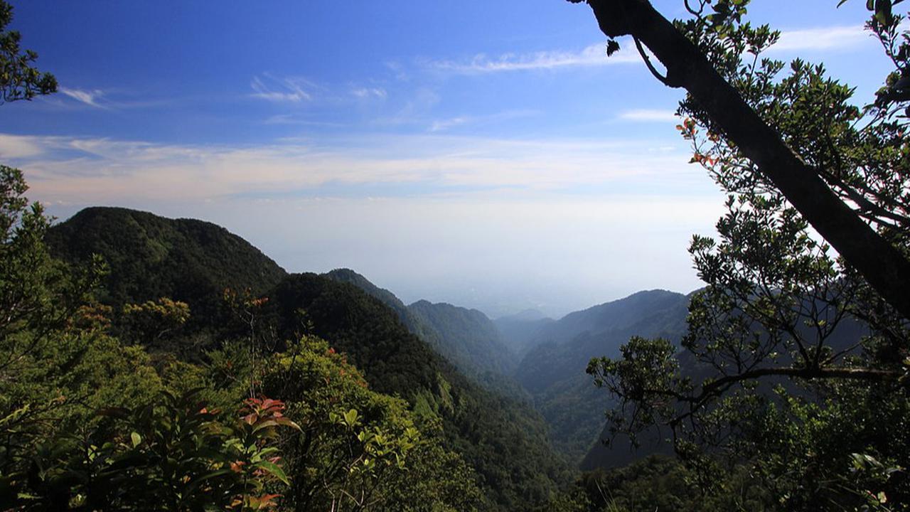 Gunung Halimun