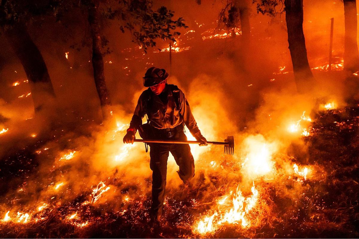 FOTO: Ngerinya Kebakaran Hutan di Napa County, Ribuan Warga California Dievakuasi