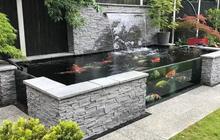 Desain Kolam Minimalis Depan Rumah untuk Mempercantik Hunian