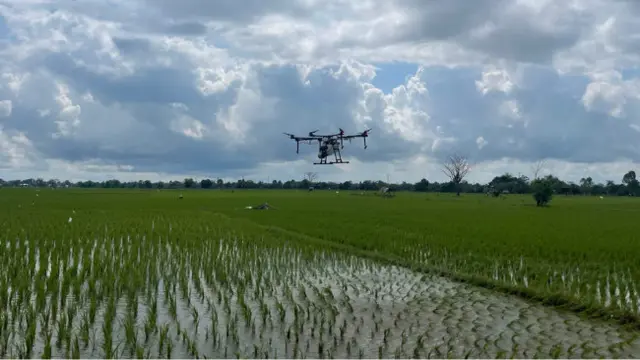 Kondisi bekerja dengan penggunaan drone di lahan Kabupaten Gowa, Sulawesi Selatan (Taiwan Technical Mission)