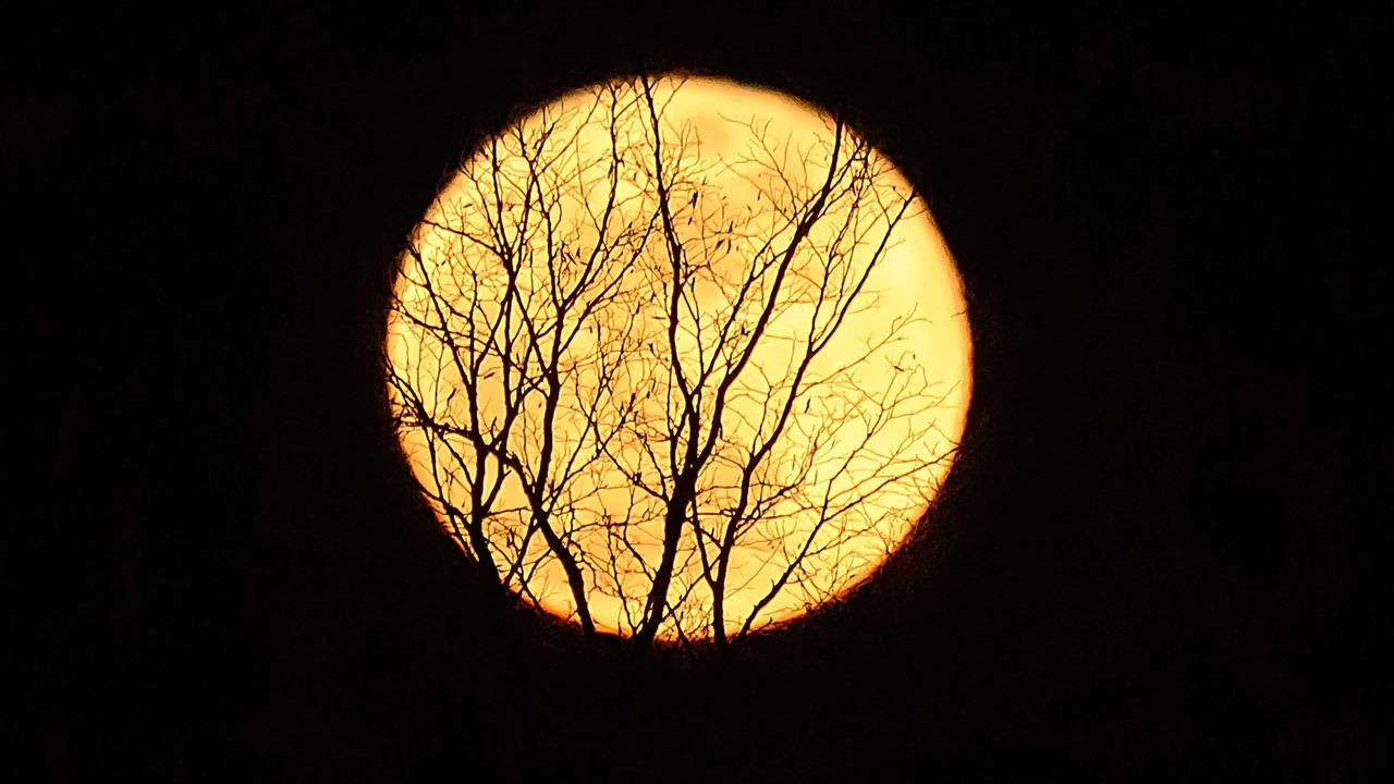 bulan