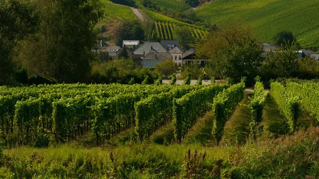 Remich