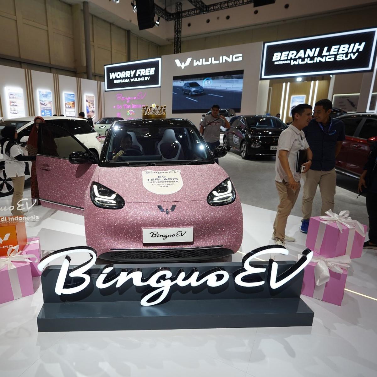 Wuling BinguoEV