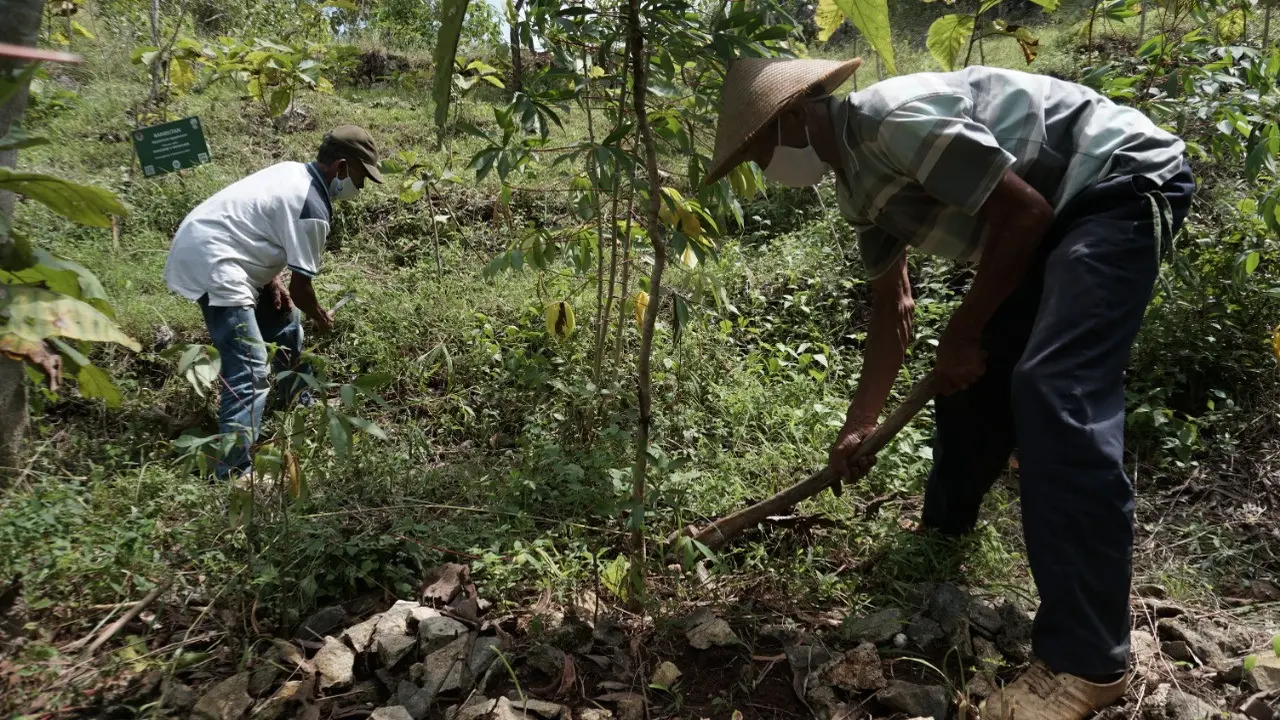 Taman Kehati Eroniti Gunungkidul