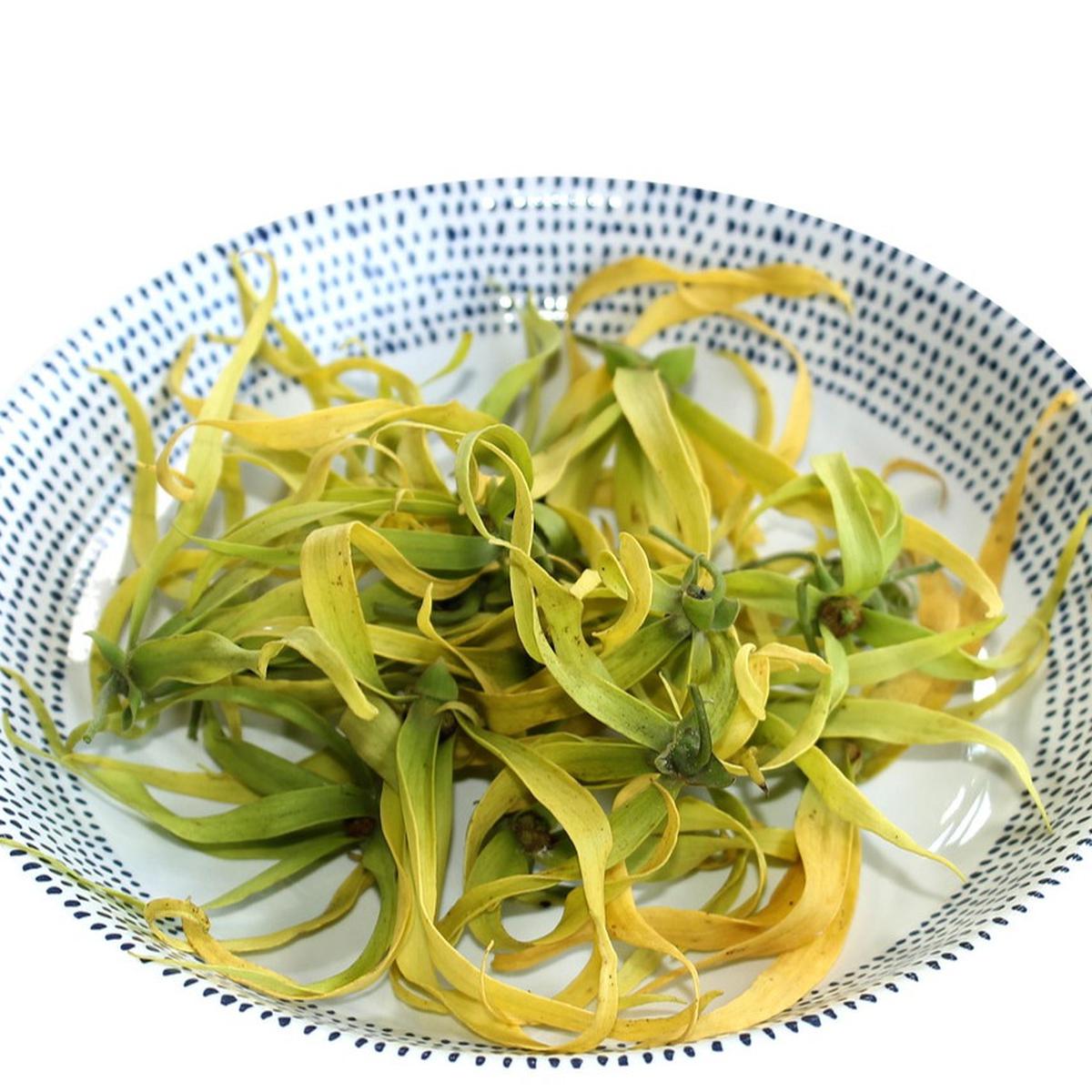 Ilustrasi Bunga Ylang-ylang (©Pixabay)