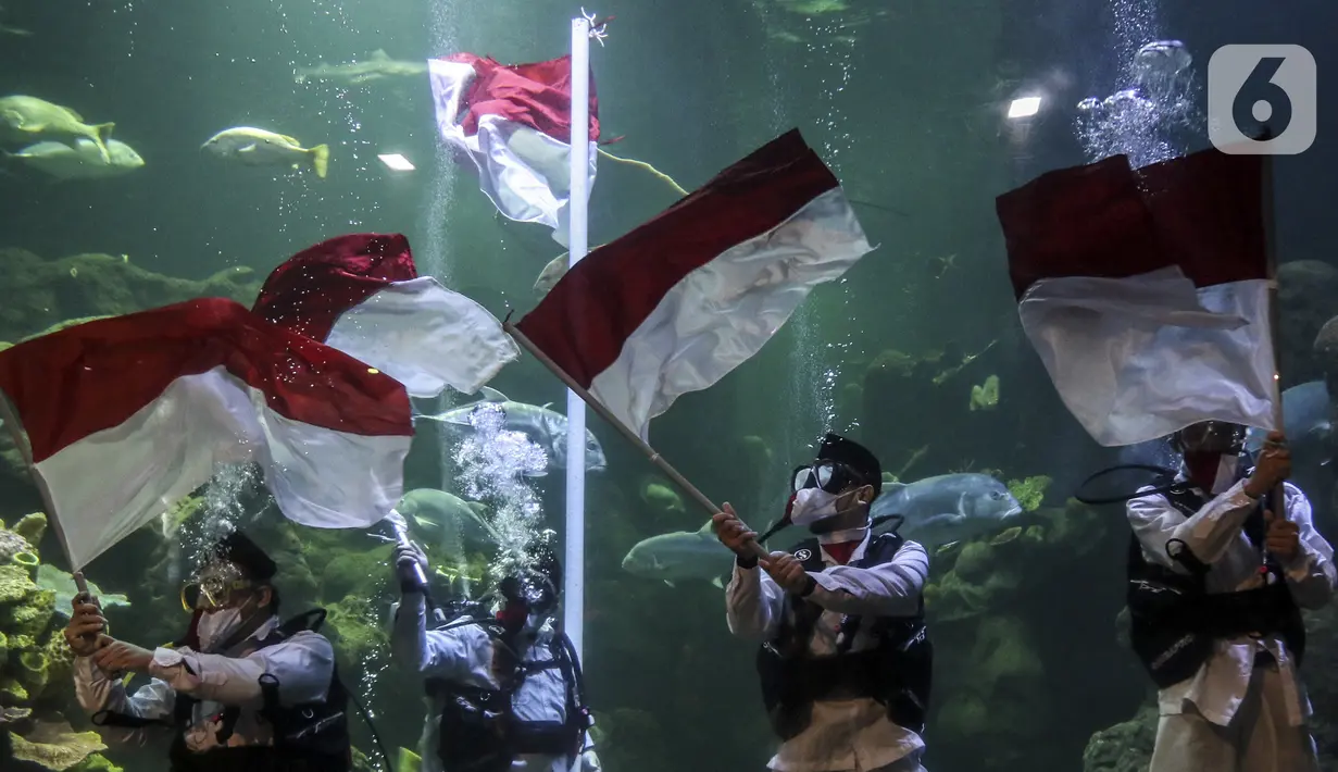 Penyelam mengibarkan bendera Merah Putih saat gladi resik HUT ke-75 RI dalam akuarium Sea World Ancol, Jakarta, Sabtu (15/8/2020). Taman Impian Jaya Ancol akan memperingati HUT ke-75 RI dengan mengibarkan bendera Merah Putih dalam akuarium Sea World pada 17 Agustus 2020. (Liputan6.com/Johan Tallo)