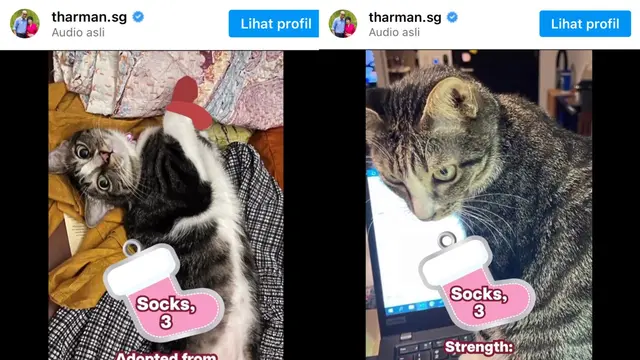 Kucing milik Presiden Singapura, Tharman Shanmugaratnam