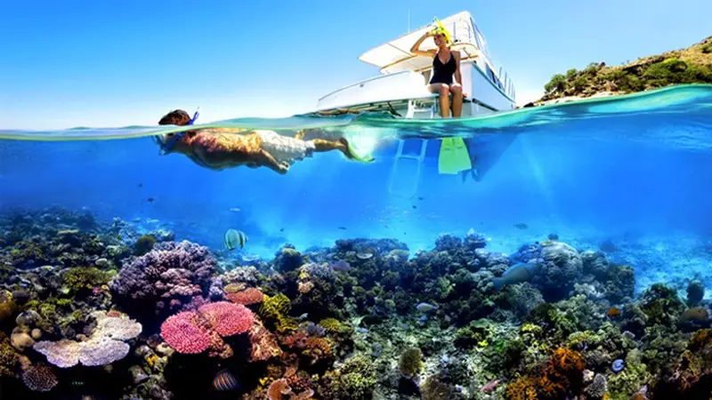 Tengok Keindahan Surga Diving di Pulau Menjangan Bali