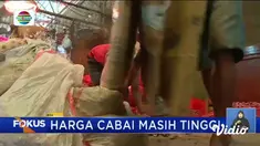 Fokus edisi (29/06) mengangkat beberapa berita di antaranya, Dampak Tumpahan Minyak, Rencana Beli Pertalite Pakai Aplikasi, Serunya Berwisata di Kota Mini.