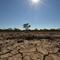 Foto ilustrasi kekeringan di Australia. Foto diambil pada 11 Februari 2015 di Walgett, 650 kilometres Sydney, sebuah kota pertanian terbesar di kawasan itu tengah menderita kekeringan parah akibat musim panas yang terik. (PETER PARKS / AFP)