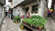 12 Sayuran yang Tetap Subur di Wadah Kecil, Mudah Ditanam dan Cepat Dipanen