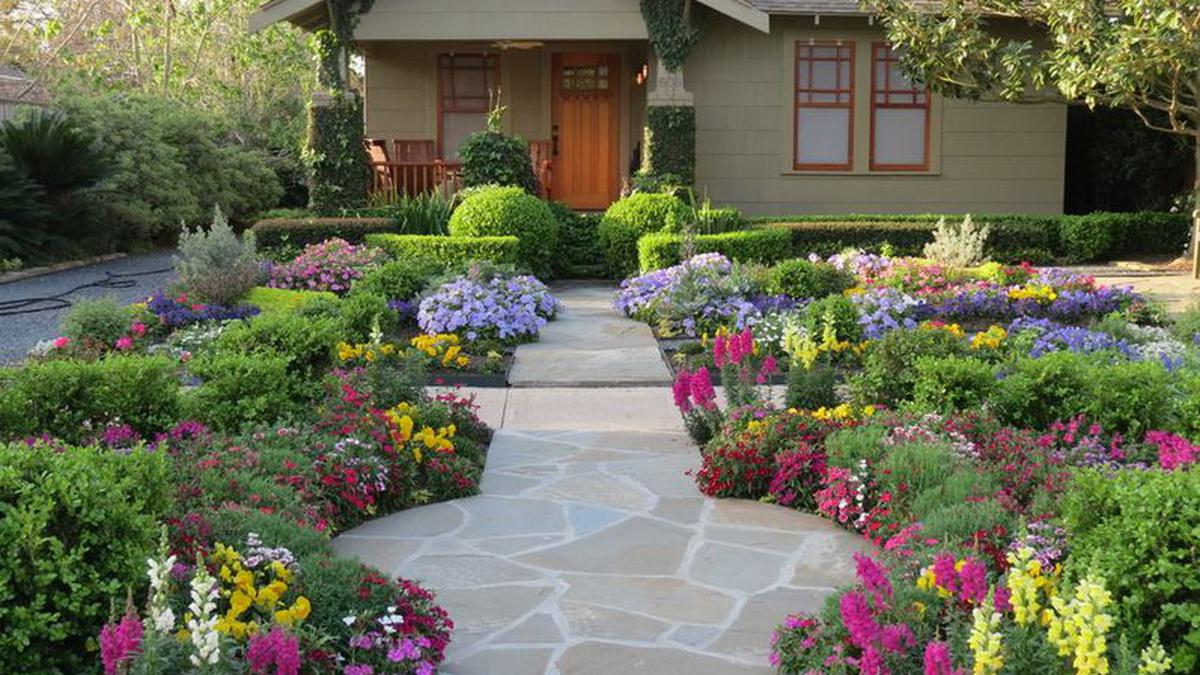 6 Pilihan Tanaman Outdoor Cantik dan Rimbun, Praktis Ditumbuhkan di Halaman Rumah