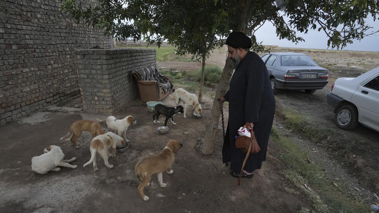 Tata Cara Membersihkan Najis Anjing dalam Islam, Panduan Syariat yang Tepat