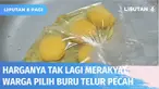 Tanggal tua makan telur, rasanya sudah tak lagi relevan. Telur yang kerap jadi makanan rakyat kini harganya perlahan merangkak naik, kembali tidak merakyat. Sejumlah daerah, warga menyiasatinya dengan berburu telur pecah.