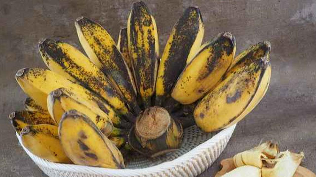 Trik Unik Merebus Pisang Kepok dengan Rice Cooker, Bisa Hemat Gas