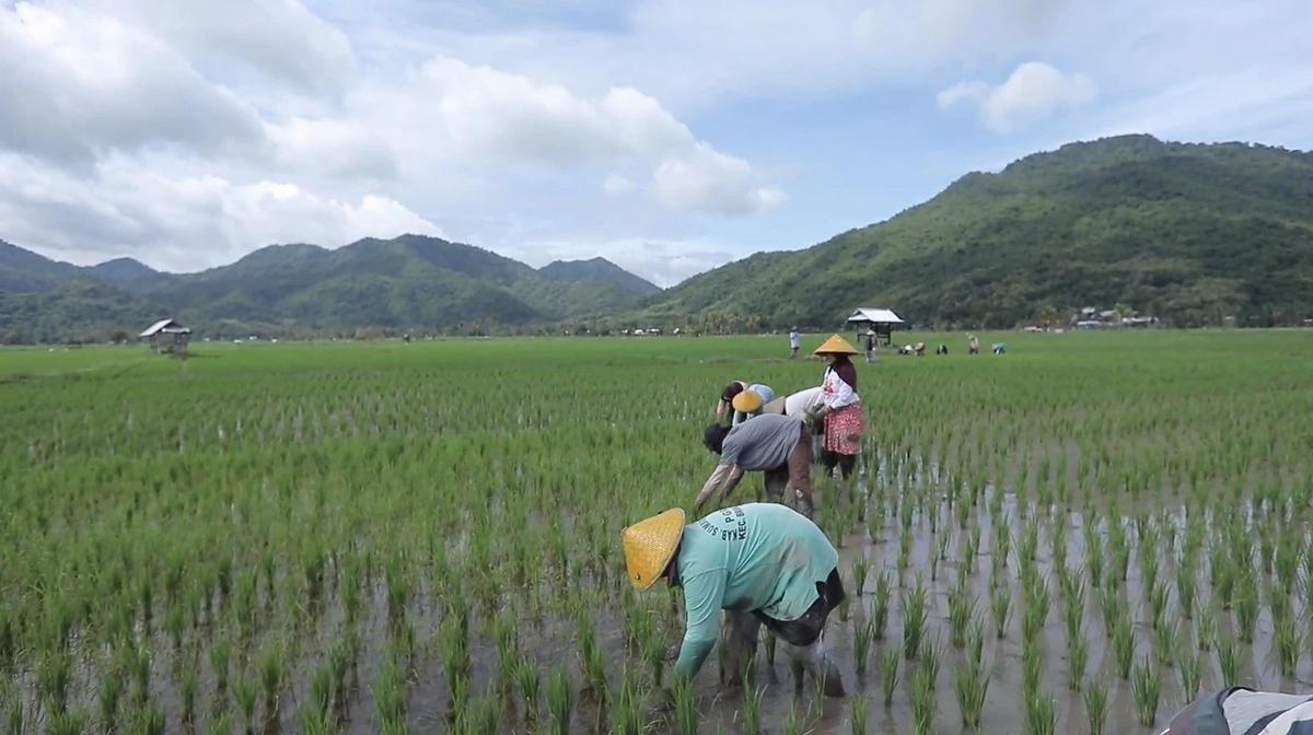 Desa Manemeng di Kabupaten Sumbawa Barat