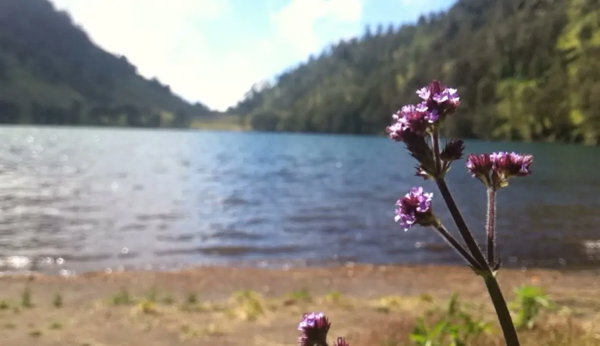 Terlepas dari segala kisah mistis yang mengiringinya, Ranu Kumbolo menyajikan nuansa damai bagi siapapun yang memandangnya (Liputan6.com/Andi Jatmiko).
