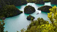 Menhut Tinjau Ulang 2 Perusahaan Tambang di Raja Ampat Papua yang Punya Izin PPKH